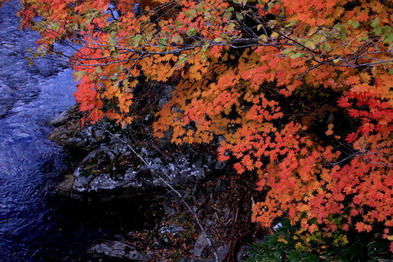 灯火をかかげて-水辺