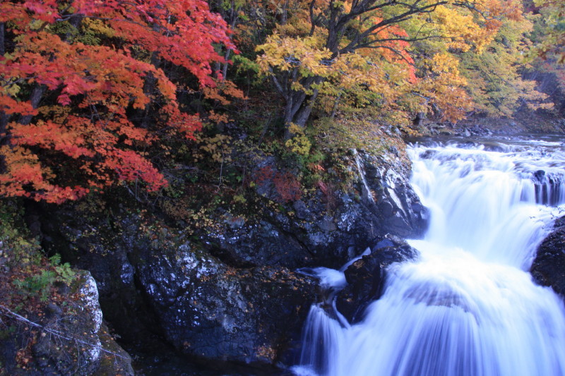 灯火をかかげて-渓流