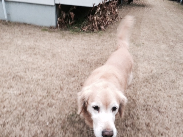 おはようございます!