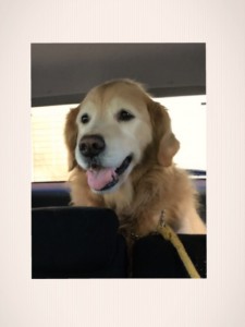 12月27日帰路の車中で