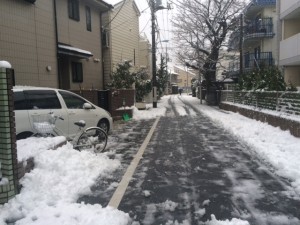 150118大雪の朝②