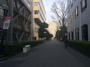 上智大キャンパス