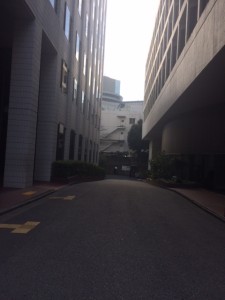 上智大キャンパスからH・ニューオータニを望む