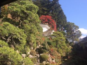 %e5%9b%9e%e5%bb%8a%e3%81%8b%e3%82%89%e5%be%a1%e7%9c%9f%e9%aa%a8%e5%a0%82%e3%82%92